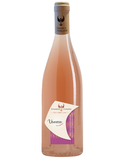 Bouteille de Vanessa 2024 – vin rouge AOC Saint-Nicolas-de-Bourgueil du Domaine de L’asselière